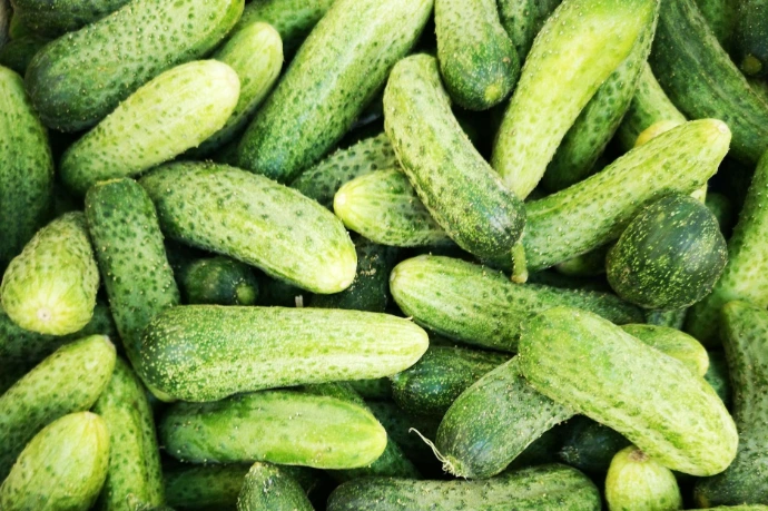 flat-lay photography of green cucumbers